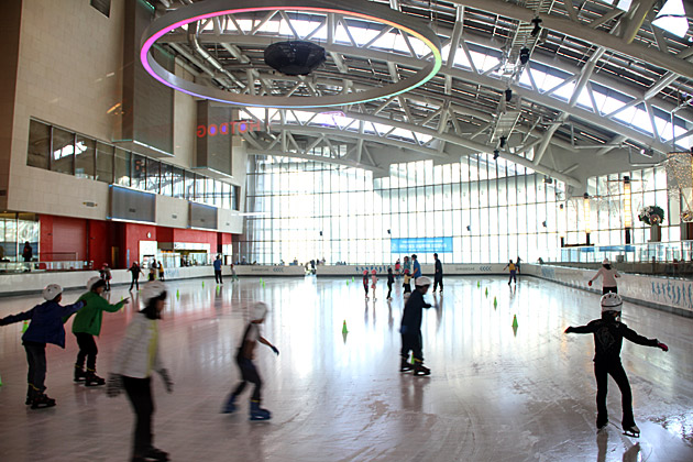 Shinsegae Ice Rink