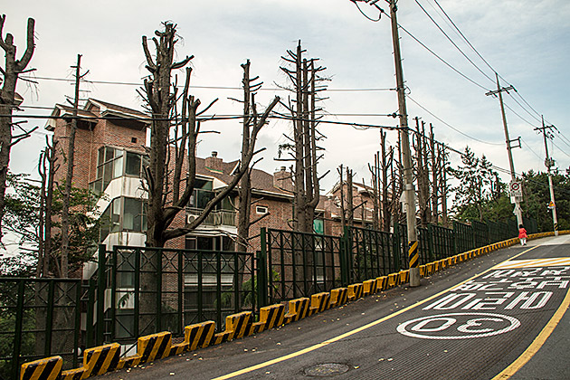 Creepy Housing