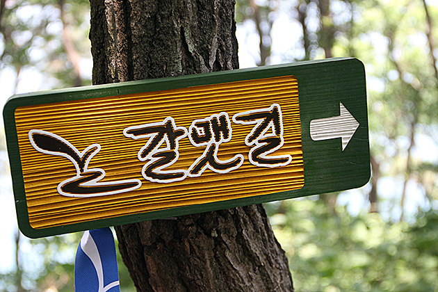 Coastal Hike Busan