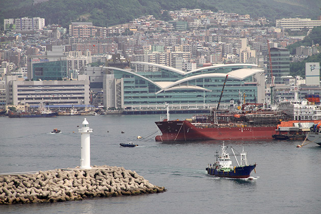 Jagalchi fish market busan
