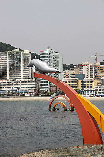 Korean Dolphin