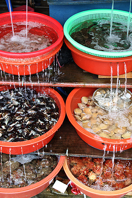 Korean Fish Fountain