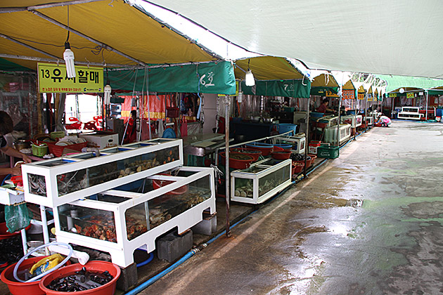 Korean Fish Stand