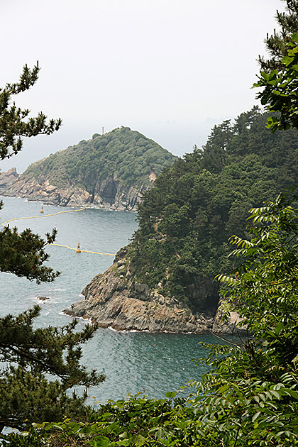 Nature Busan