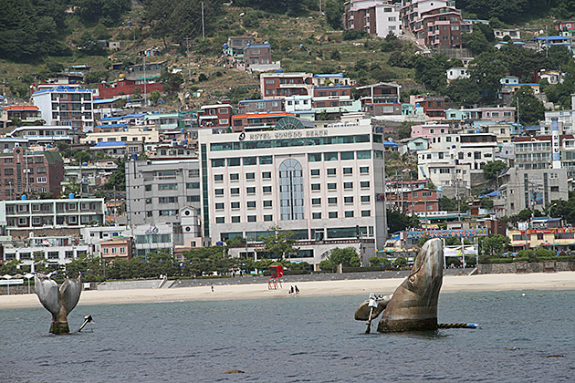 Whale Watching Korea