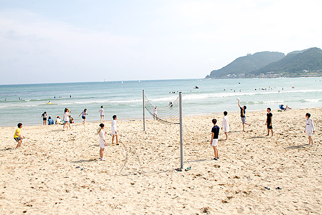 Bitch Volley Balls