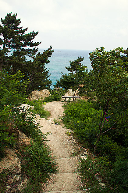 Coastal Hike Busan