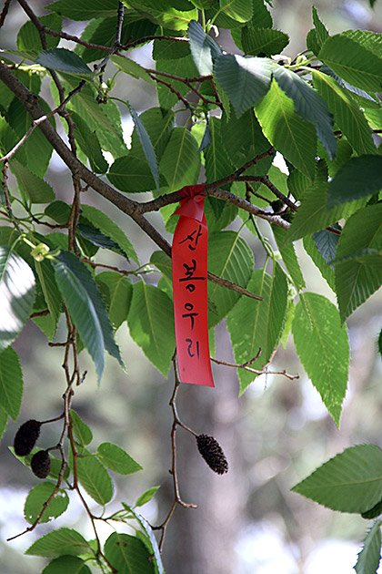 Geocaching Korea