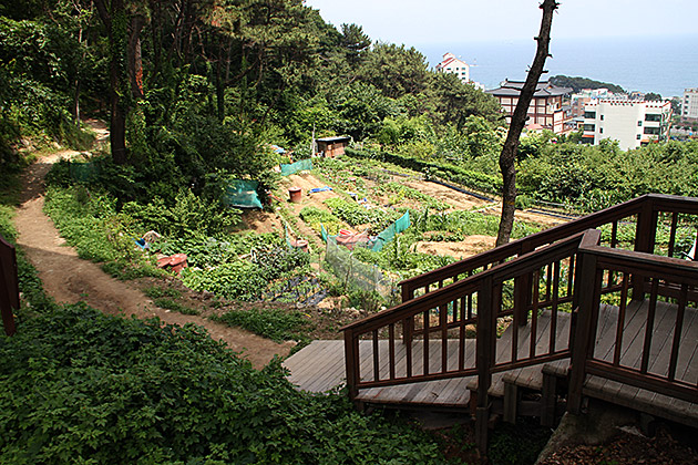 Hiking Korea