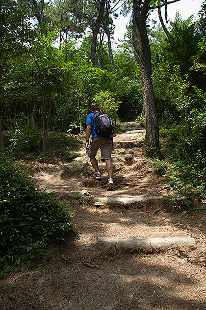 Mike Hike
