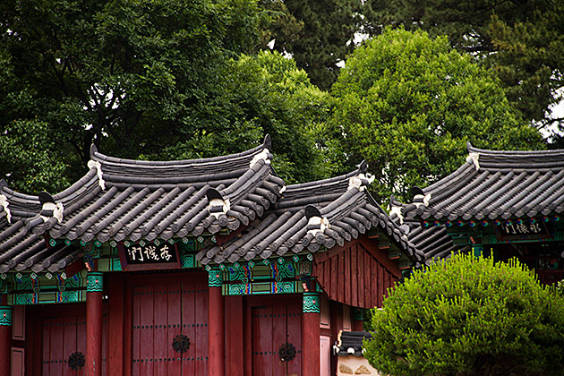 Suyeong Park