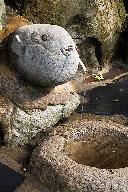Blow Fish Fountain