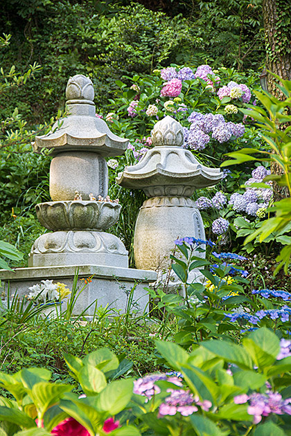 Flower Buddha Temple