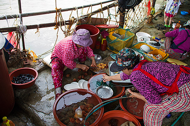 Live Cooking Busan