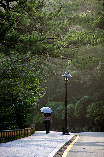 Lonely Walk