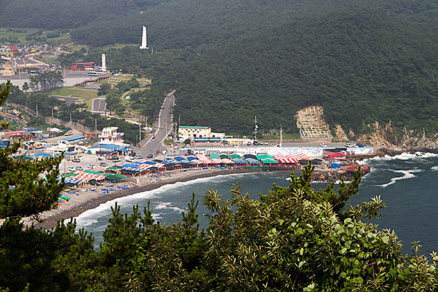 Way To Eat Fish Busan