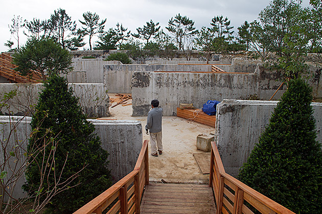 The Eulsukdo Island Bird Sanctuary 19 Bizarre Photography Korea