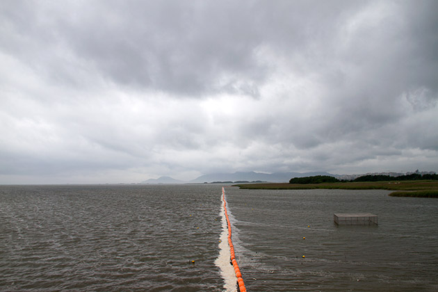 The Eulsukdo Island Bird Sanctuary 24 Dirty Water Korea