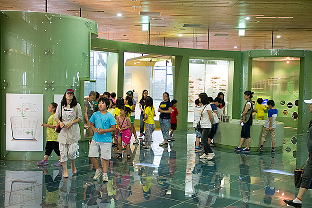 The Eulsukdo Island Bird Sanctuary 10 Korean Kids
