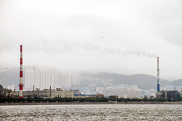 The Eulsukdo Island Bird Sanctuary 17 Mother Nature Busan