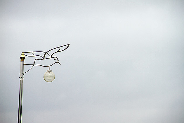 The Eulsukdo Island Bird Sanctuary 5 Stupid Bird Lamp