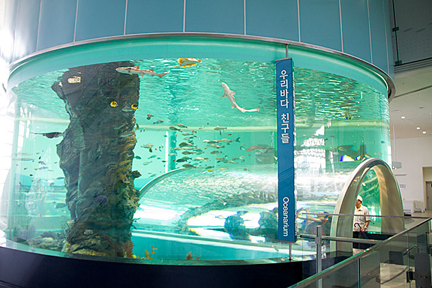 Maritime Musuem Busan
