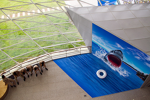 Shark Attack Busan
