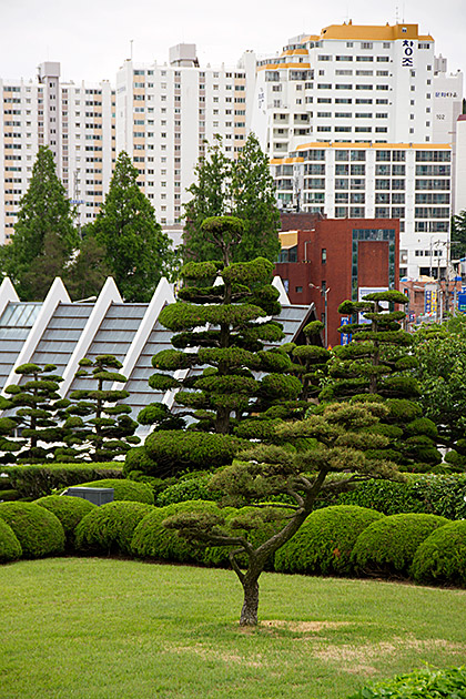 Busan Blog