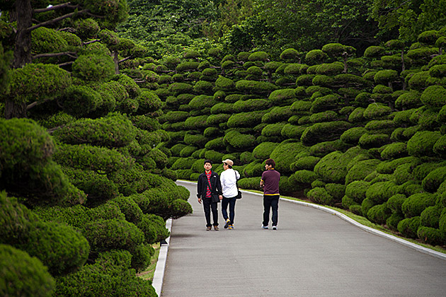 Modern Art Korea