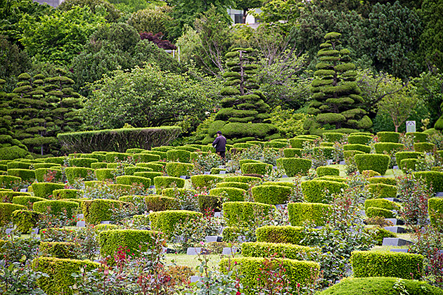Un Cemetery Busan