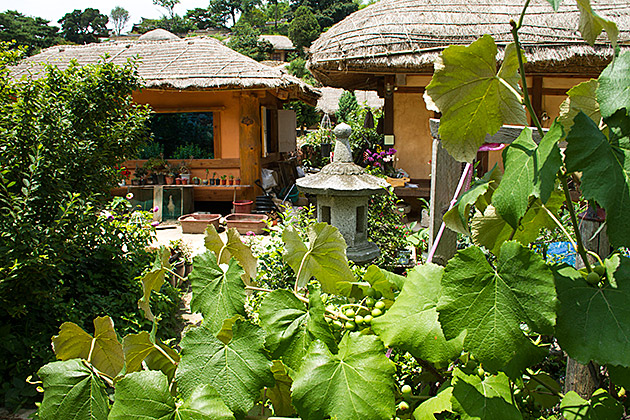 Korean Wonder Garden
