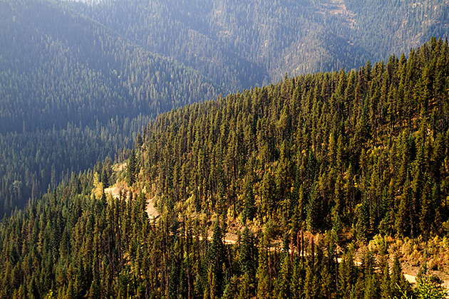 Biking the Hiawatha Trail 14 Idaho 2012