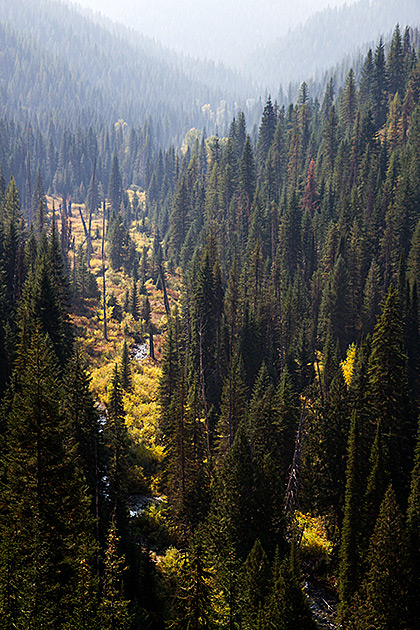Biking the Hiawatha Trail 20 Tree Valley Idaho