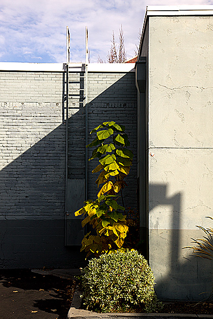 Boise Plant