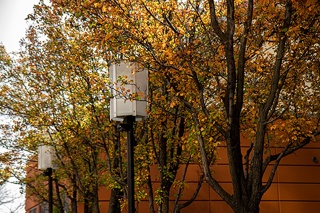 Noise Lamp