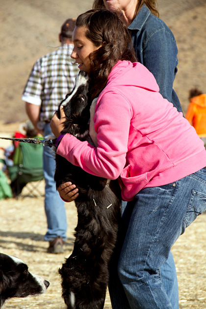 The Folklife Fair & Sheepdog Trials 48 Dog Love