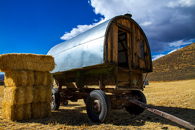 Basque Shepherds and Arborglyphs 5 Sheep Herd Wagon