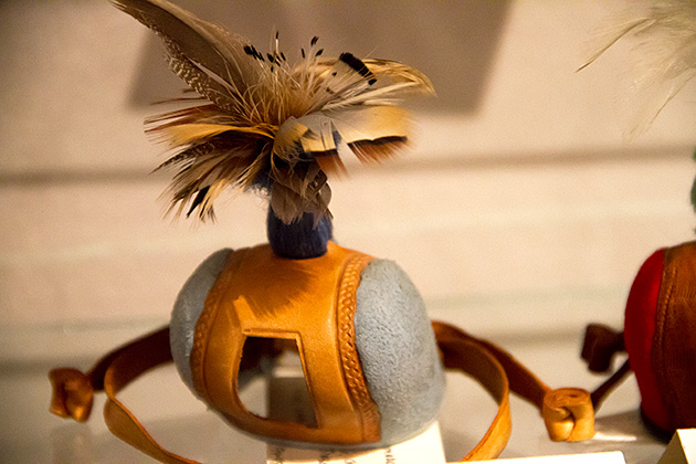 Falcon Hood