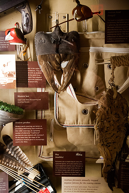 Falconry Tools