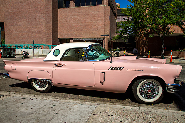 Pink Car