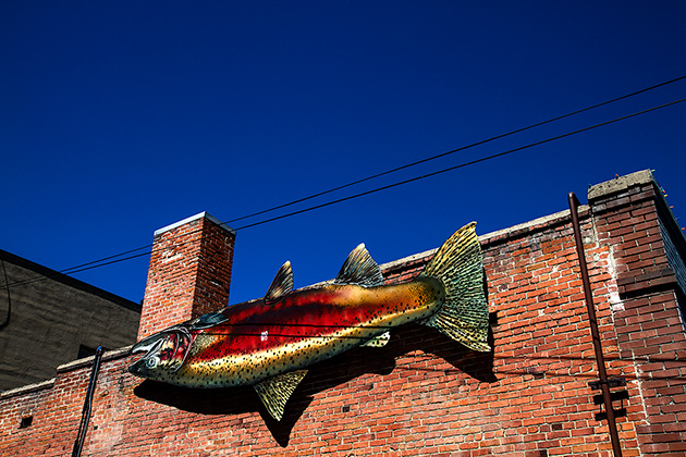 Upside Down Fish