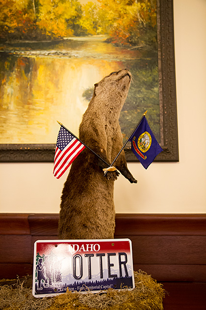 Idaho Otter
