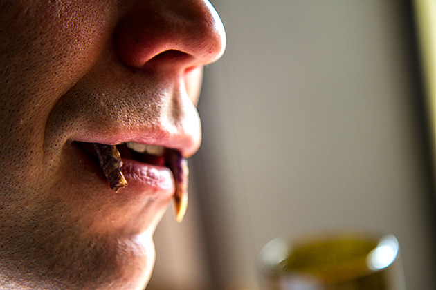 The Boise Fry Company 14 French fry vampire