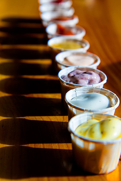 The Boise Fry Company 2 Crazy french fry sauces