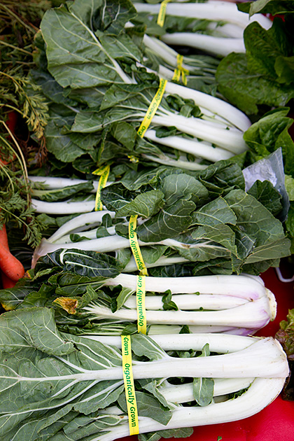 Fresh Market