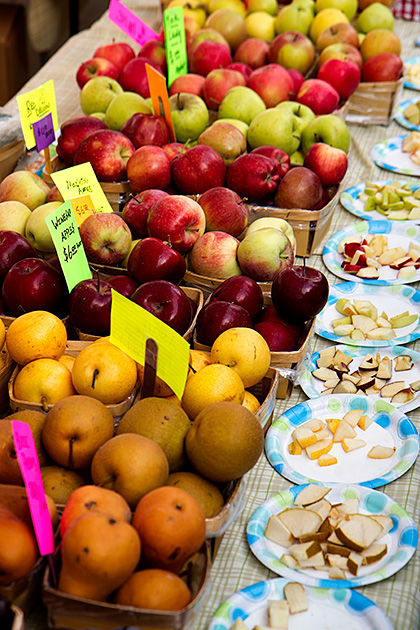 Fruit Tasting