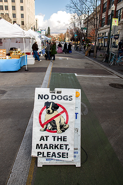 No Dogs Allowed MEAN