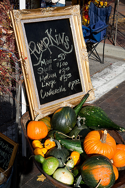 Pumpkins Idaho