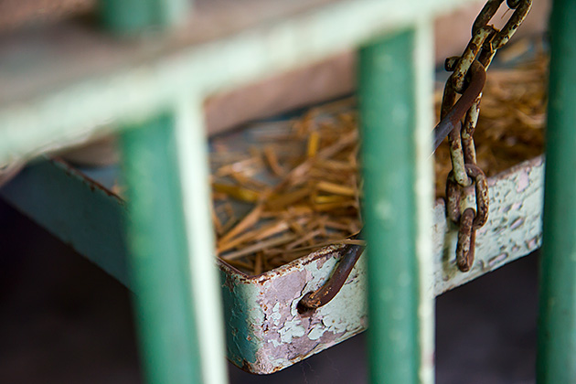 Straw Bed