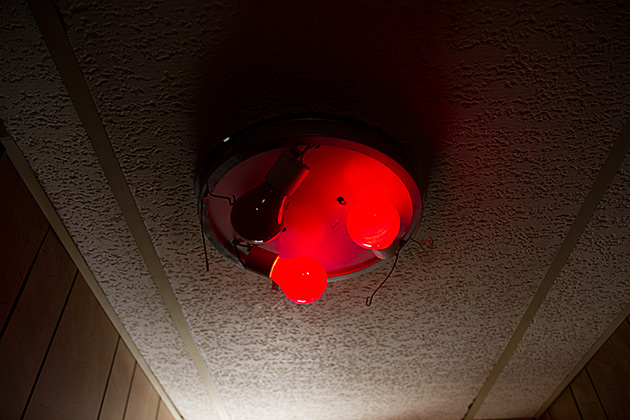 Red Light District USA